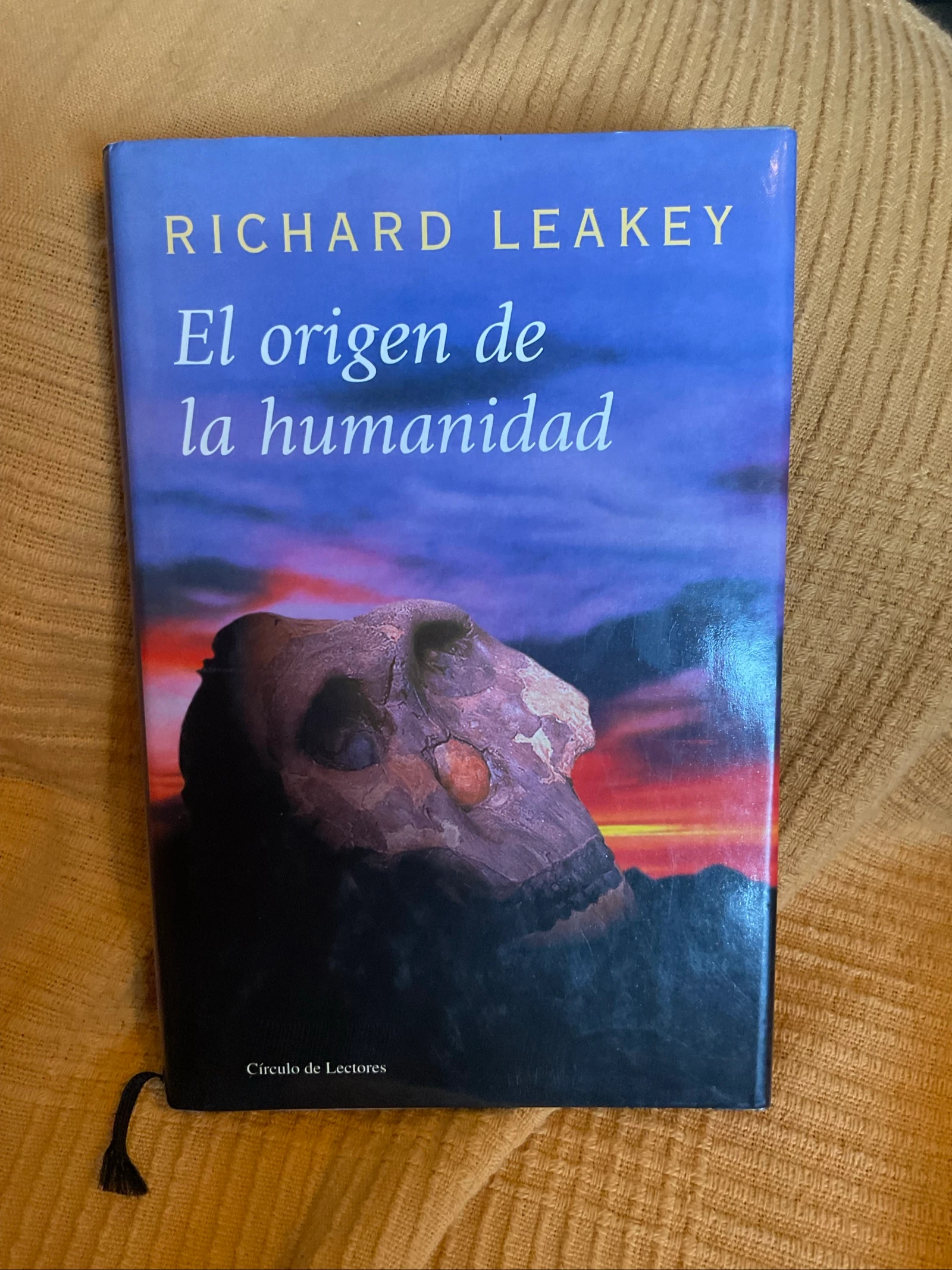 O origem da humanidade – photo 4